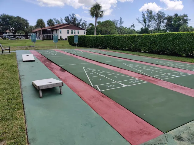 a view of a tennis ground with a large trees