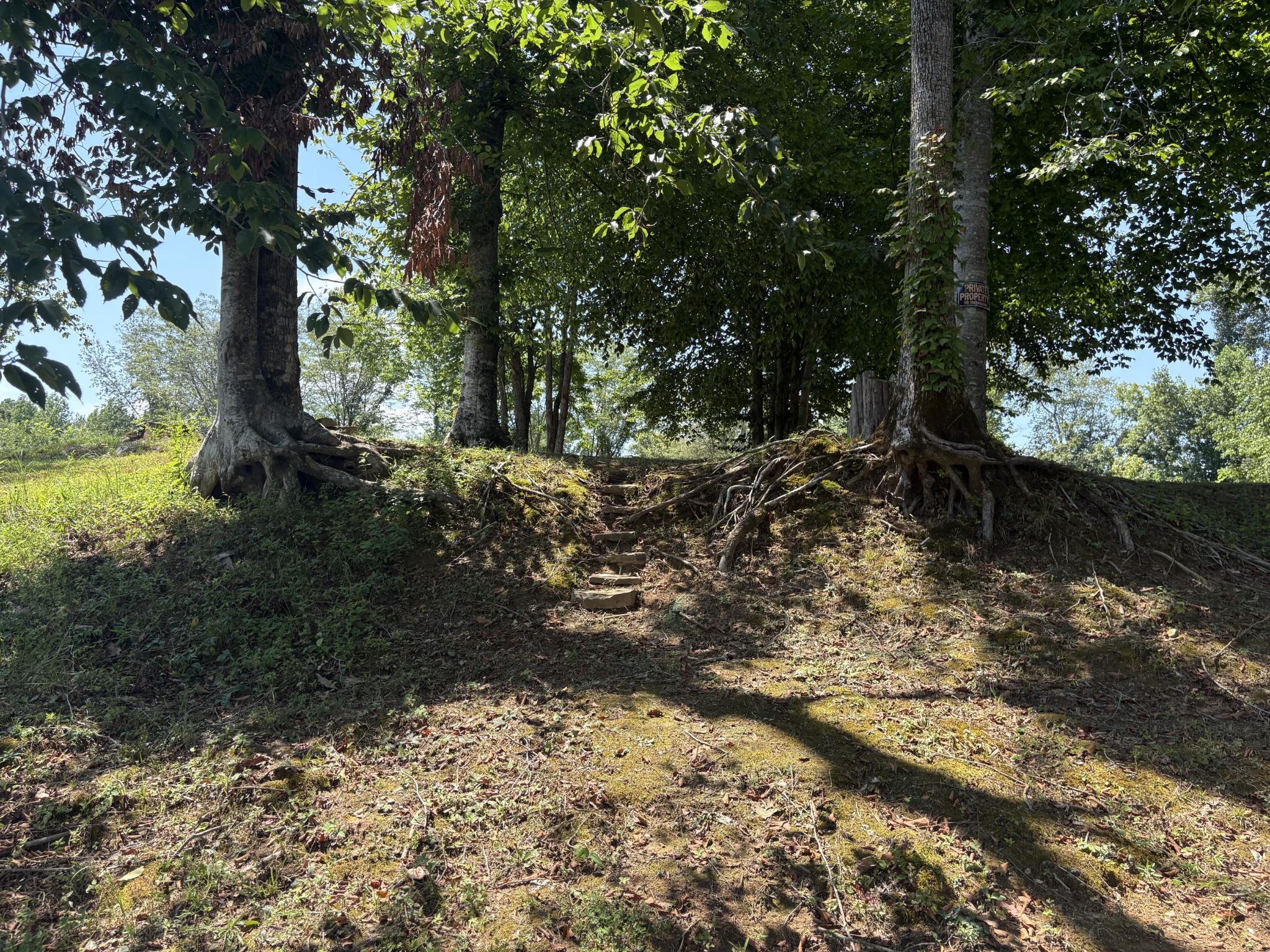 0 Ashland Road Waynesboro, TN 38485 - Photo 22 of 35