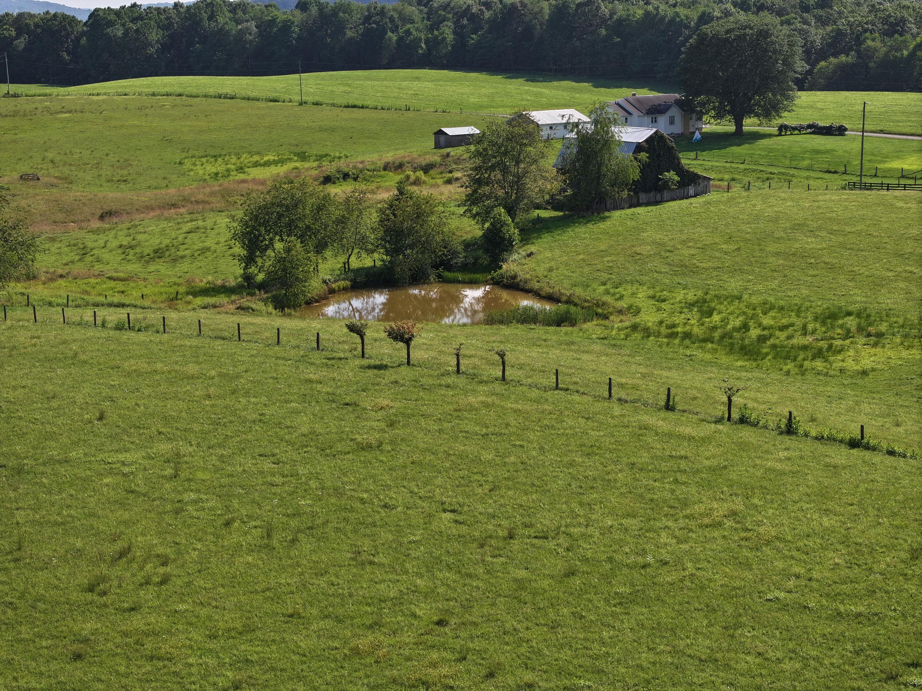 113 Lon Martin Road Rainelle, WV 25962 - Photo 103 of 114 Gallery Image 103