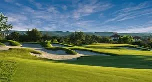 a view of a swimming pool with a yard