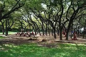 a view of park space
