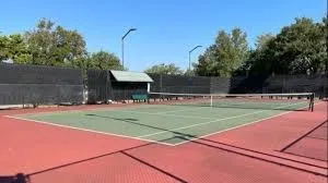 a view of a tennis ground with large trees