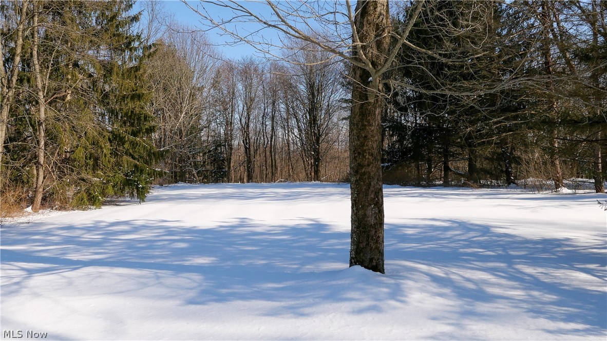11858 Sheldon Road Mantua, OH 44255 - Photo 7 of 30 Gallery Image 7