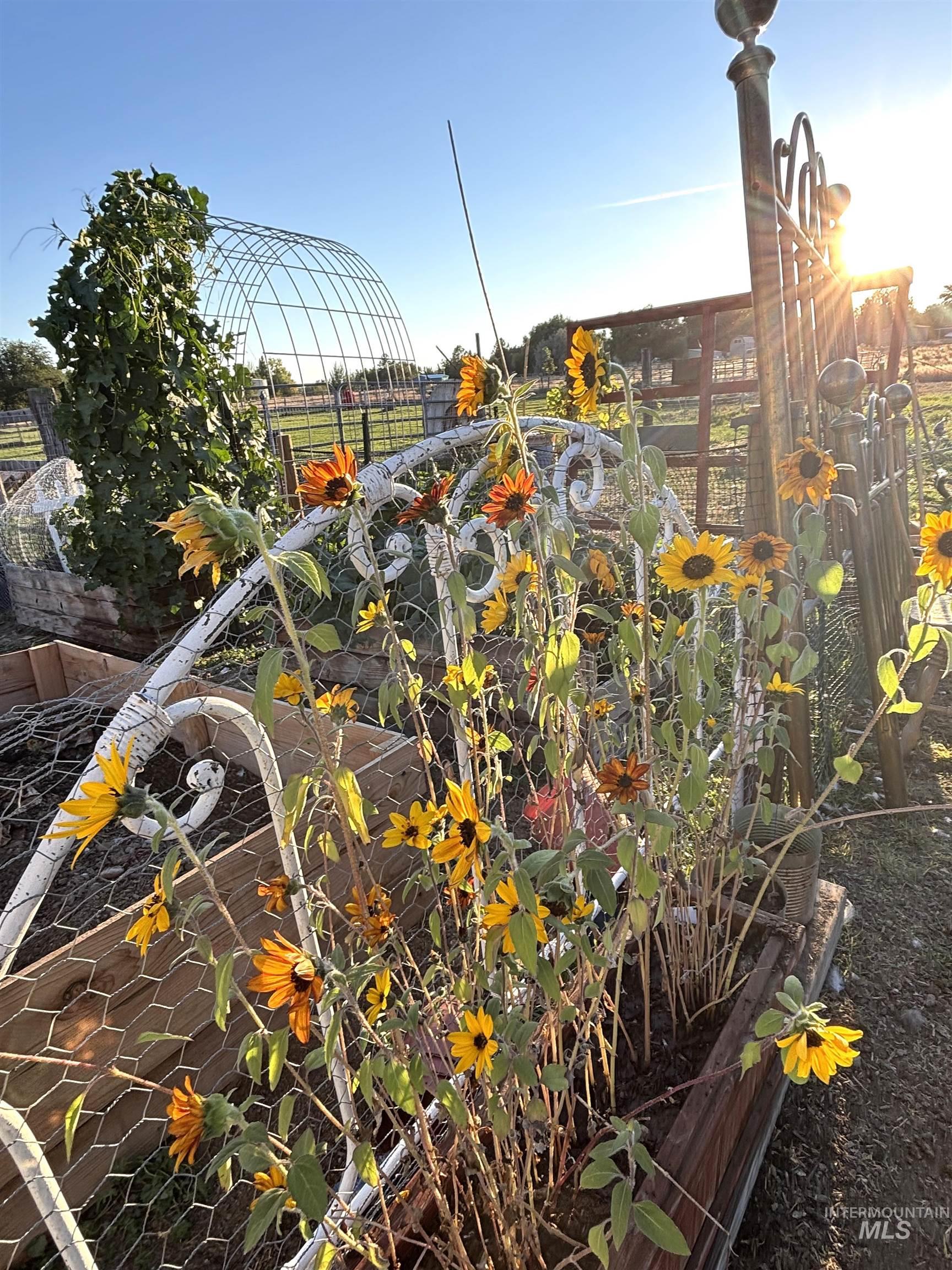 12733 South Five Mile Road Kuna, ID 83634 - Photo 19 of 21 Exterior view