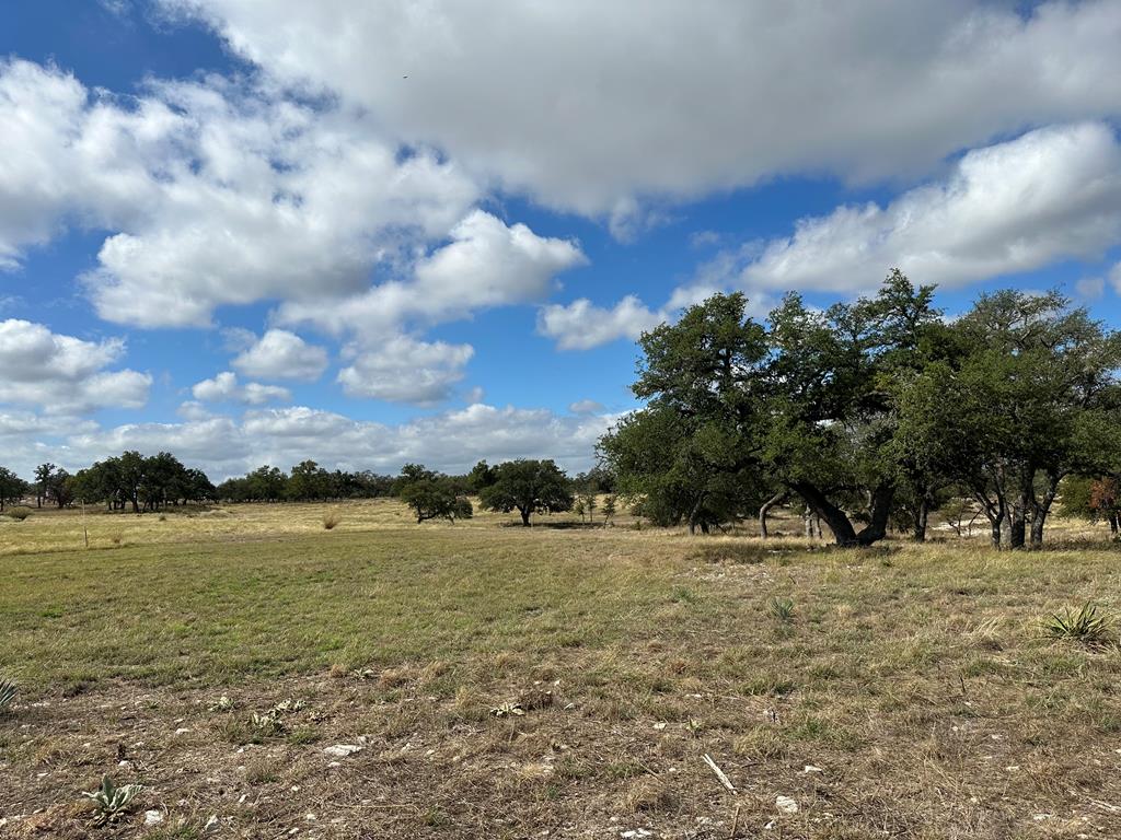 171 FLOWERING SAGE LN Unit 90