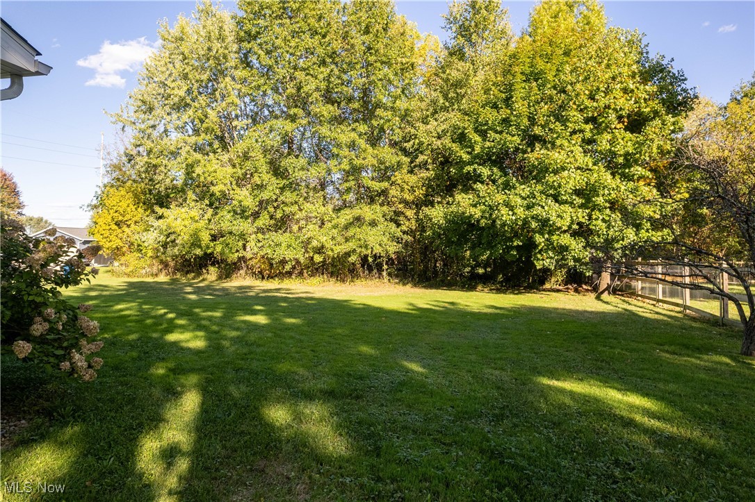 542 Overlook Drive Rittman, OH 44270 - Photo 22 of 26 Gallery Image 22