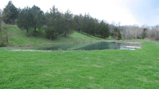 Spring fed pond