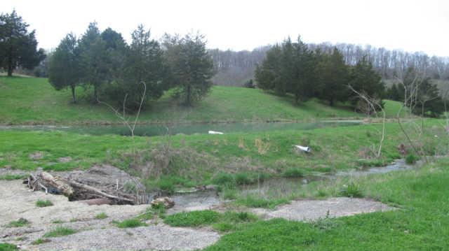 Spring fed creek