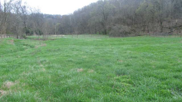 0 Cowser Road Cornersville, TN 37047 - Photo 9 of 9 Gallery Image 9