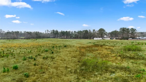 a view of a yard with trees