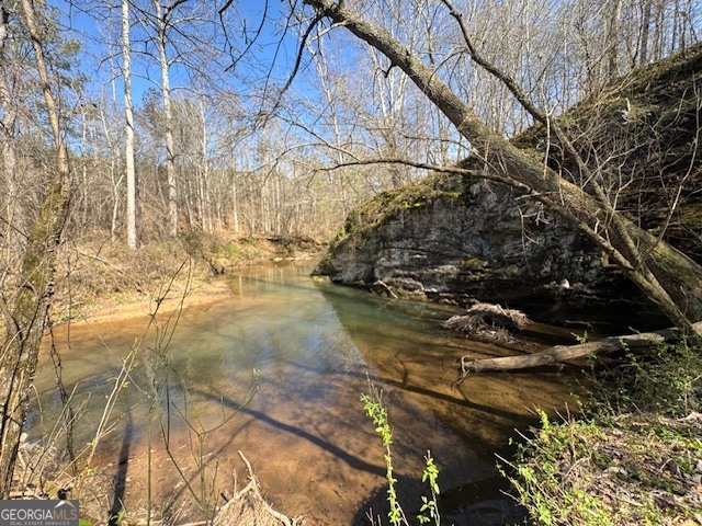 600 Yarbrough Road Franklin, GA 30217 - Photo 1 of 51