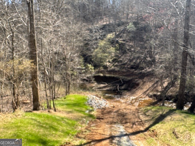 600 Yarbrough Road Franklin, GA 30217 - Photo 11 of 51