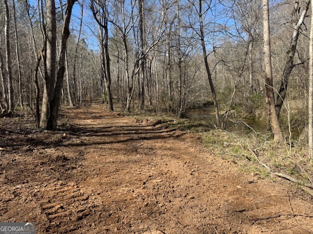 600 Yarbrough Road Franklin, GA 30217 - Photo 12 of 51