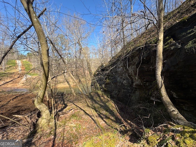 600 Yarbrough Road Franklin, GA 30217 - Photo 13 of 51