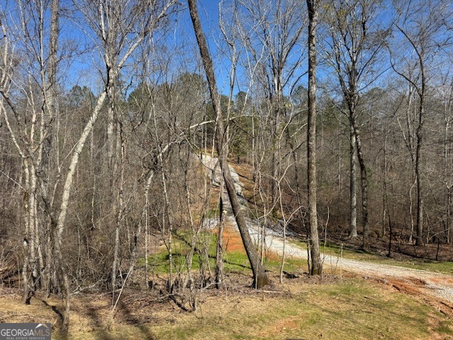 600 Yarbrough Road Franklin, GA 30217 - Photo 15 of 51