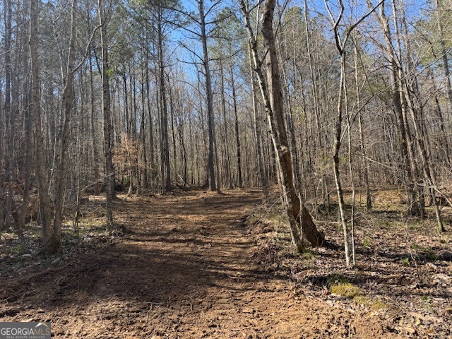 600 Yarbrough Road Franklin, GA 30217 - Photo 16 of 51