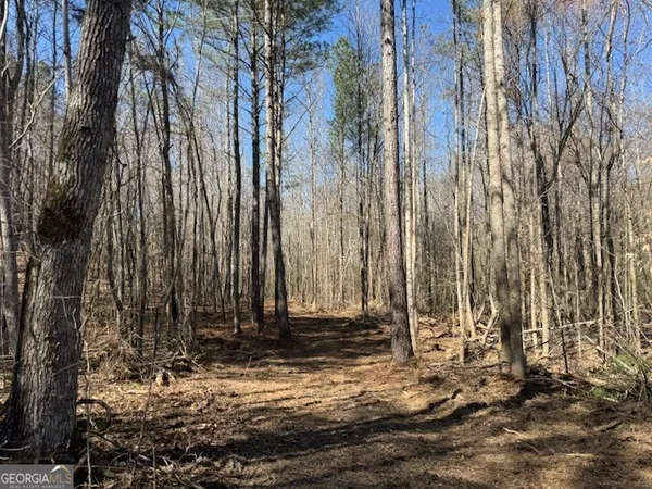 $1,113,000 | 600 Yarbrough Road, Franklin, GA 30217
