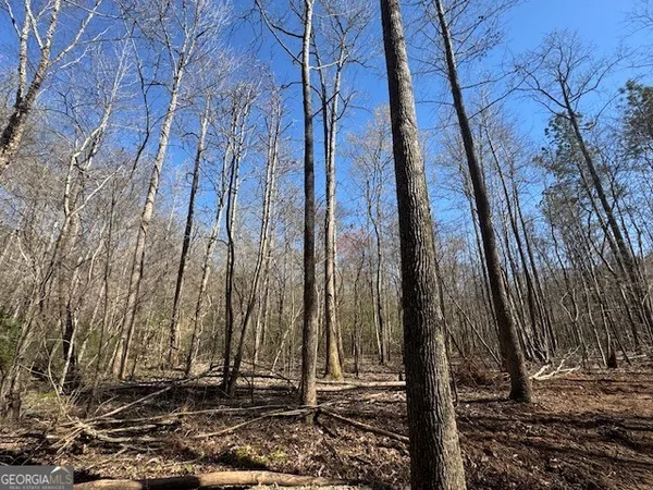 $1,113,000 | 600 Yarbrough Road, Franklin, GA 30217