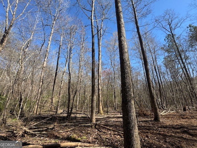 600 Yarbrough Road Franklin, GA 30217 - Photo 18 of 51