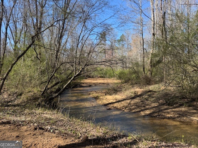 600 Yarbrough Road Franklin, GA 30217 - Photo 19 of 51