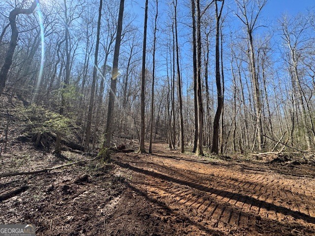 600 Yarbrough Road Franklin, GA 30217 - Photo 20 of 51