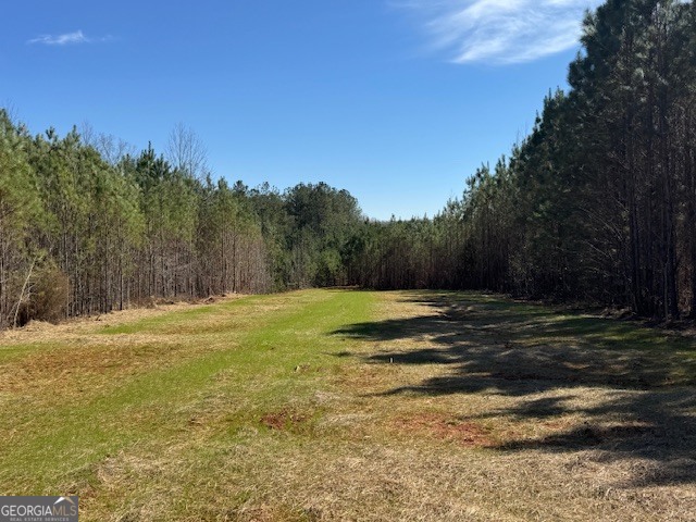 600 Yarbrough Road Franklin, GA 30217 - Photo 2 of 51