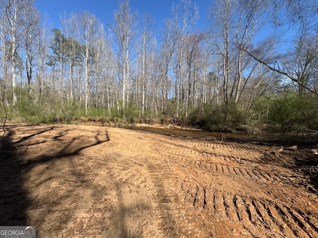 600 Yarbrough Road Franklin, GA 30217 - Photo 21 of 51