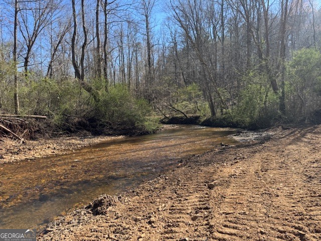 600 Yarbrough Road Franklin, GA 30217 - Photo 22 of 51