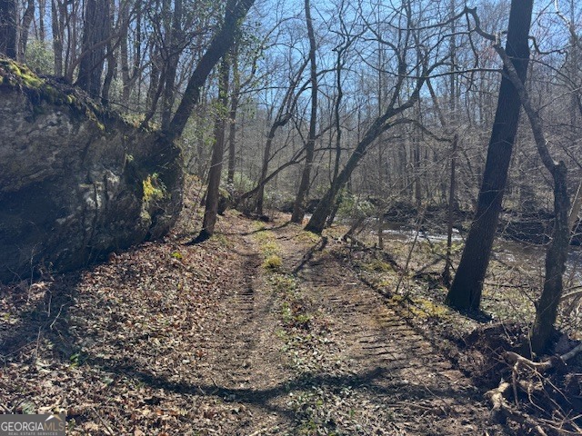 600 Yarbrough Road Franklin, GA 30217 - Photo 23 of 51