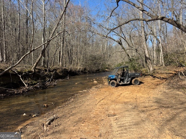 600 Yarbrough Road Franklin, GA 30217 - Photo 24 of 51