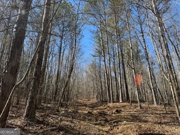 $1,113,000 | 600 Yarbrough Road, Franklin, GA 30217
