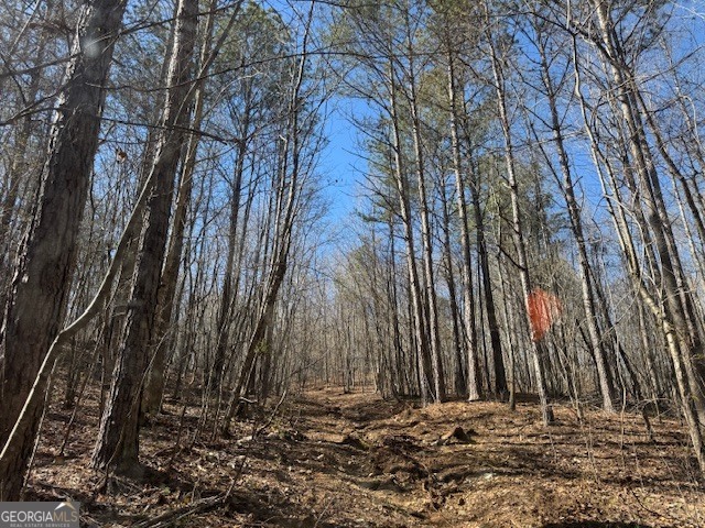 600 Yarbrough Road Franklin, GA 30217 - Photo 28 of 51