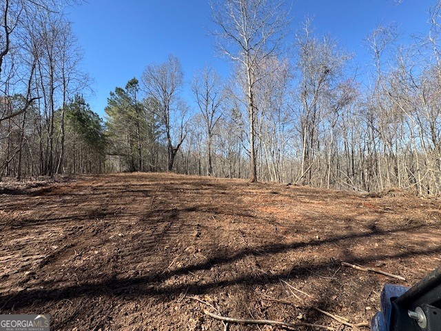 600 Yarbrough Road Franklin, GA 30217 - Photo 29 of 51