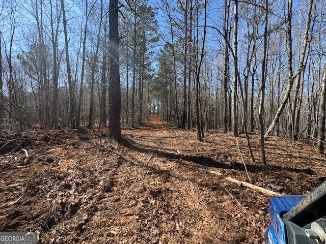 600 Yarbrough Road Franklin, GA 30217 - Photo 30 of 51