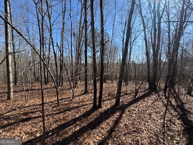 600 Yarbrough Road Franklin, GA 30217 - Photo 31 of 51