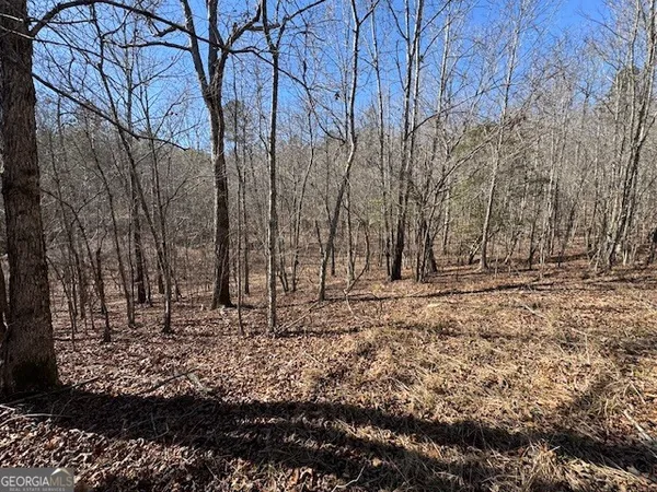 $1,113,000 | 600 Yarbrough Road, Franklin, GA 30217