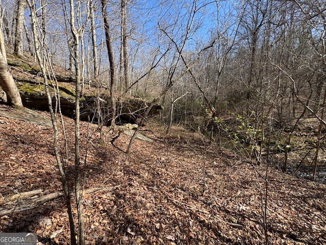 600 Yarbrough Road Franklin, GA 30217 - Photo 33 of 51