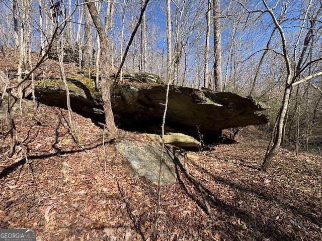 600 Yarbrough Road Franklin, GA 30217 - Photo 34 of 51