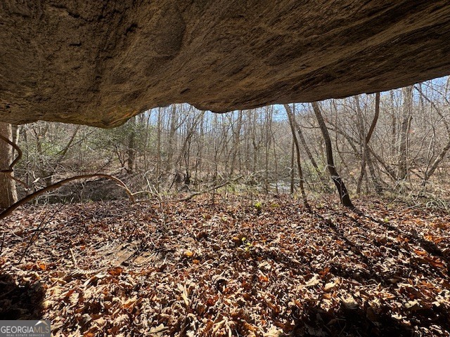 600 Yarbrough Road Franklin, GA 30217 - Photo 35 of 51