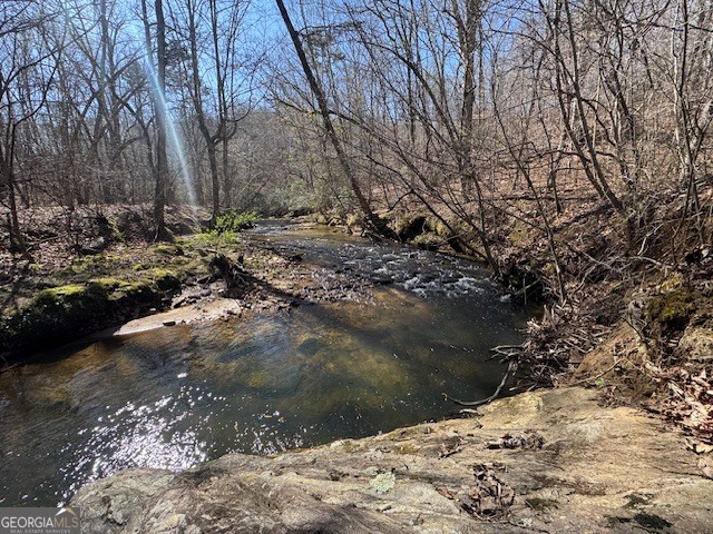 600 Yarbrough Road Franklin, GA 30217 - Photo 36 of 51