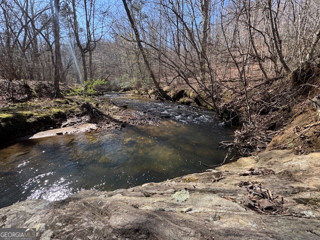 600 Yarbrough Road Franklin, GA 30217 - Photo 37 of 51