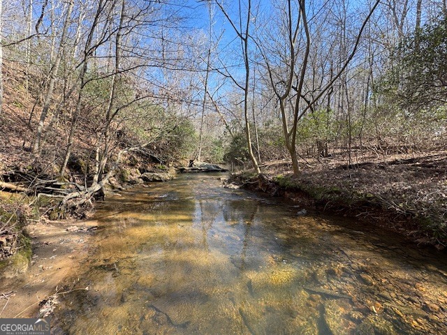 600 Yarbrough Road Franklin, GA 30217 - Photo 38 of 51