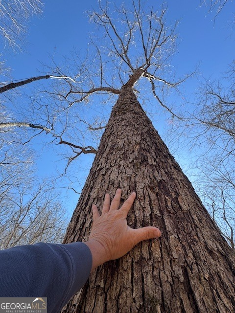 600 Yarbrough Road Franklin, GA 30217 - Photo 39 of 51