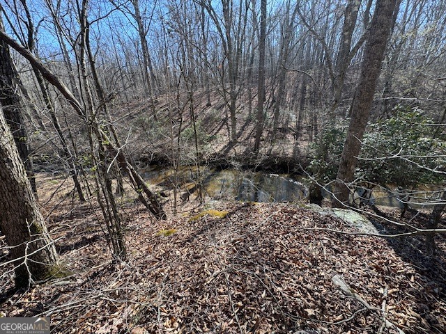 600 Yarbrough Road Franklin, GA 30217 - Photo 40 of 51