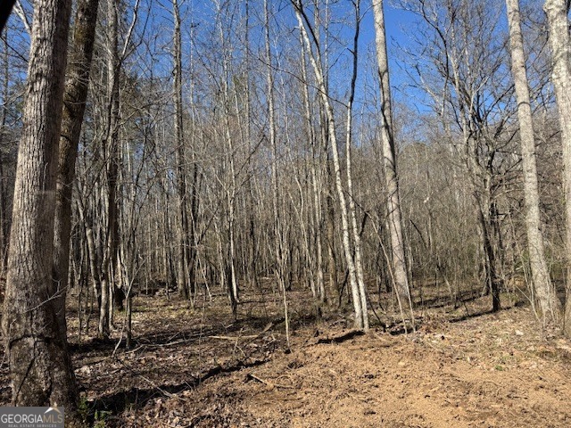 600 Yarbrough Road Franklin, GA 30217 - Photo 4 of 51