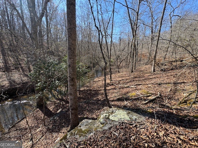 600 Yarbrough Road Franklin, GA 30217 - Photo 41 of 51