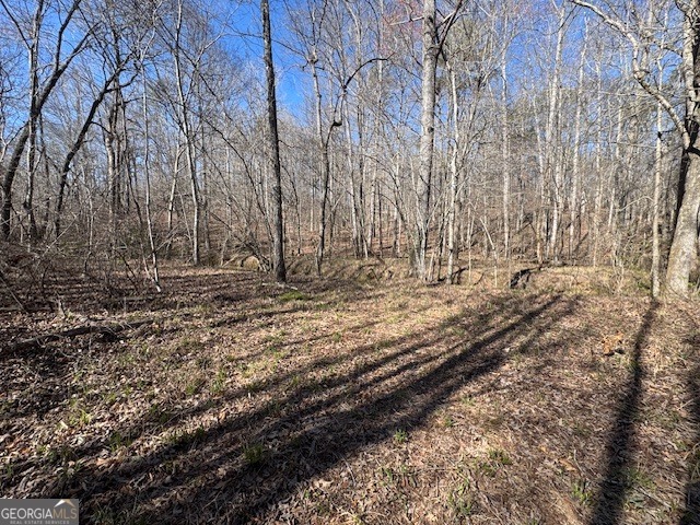 600 Yarbrough Road Franklin, GA 30217 - Photo 42 of 51