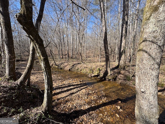 600 Yarbrough Road Franklin, GA 30217 - Photo 43 of 51