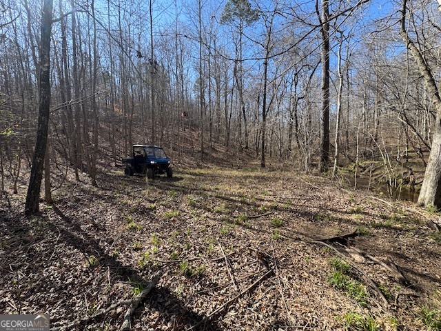 600 Yarbrough Road Franklin, GA 30217 - Photo 44 of 51