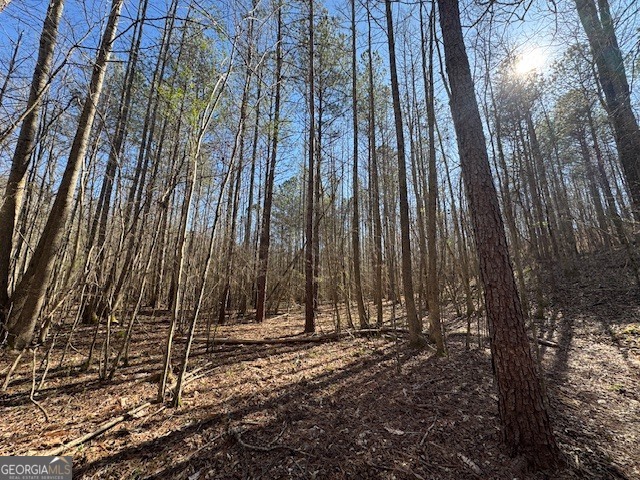 600 Yarbrough Road Franklin, GA 30217 - Photo 45 of 51